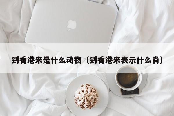 到香港来是什么动物（到香港来表示什么肖）