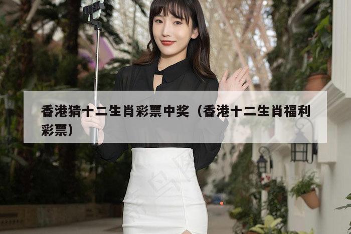 香港猜十二生肖彩票中奖（香港十二生肖福利彩票）