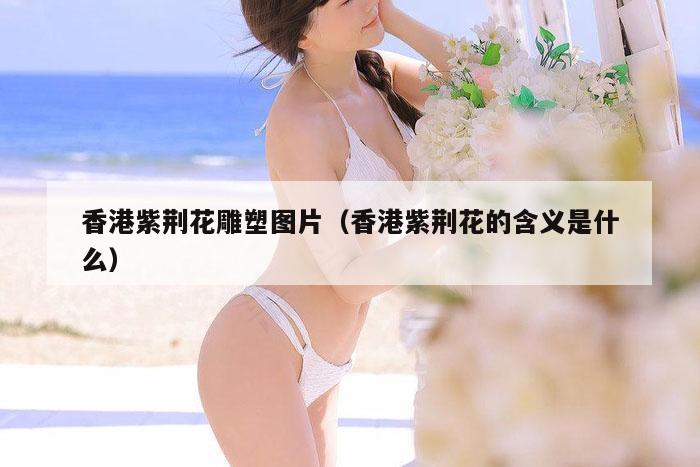 香港紫荆花雕塑图片（香港紫荆花的含义是什么）